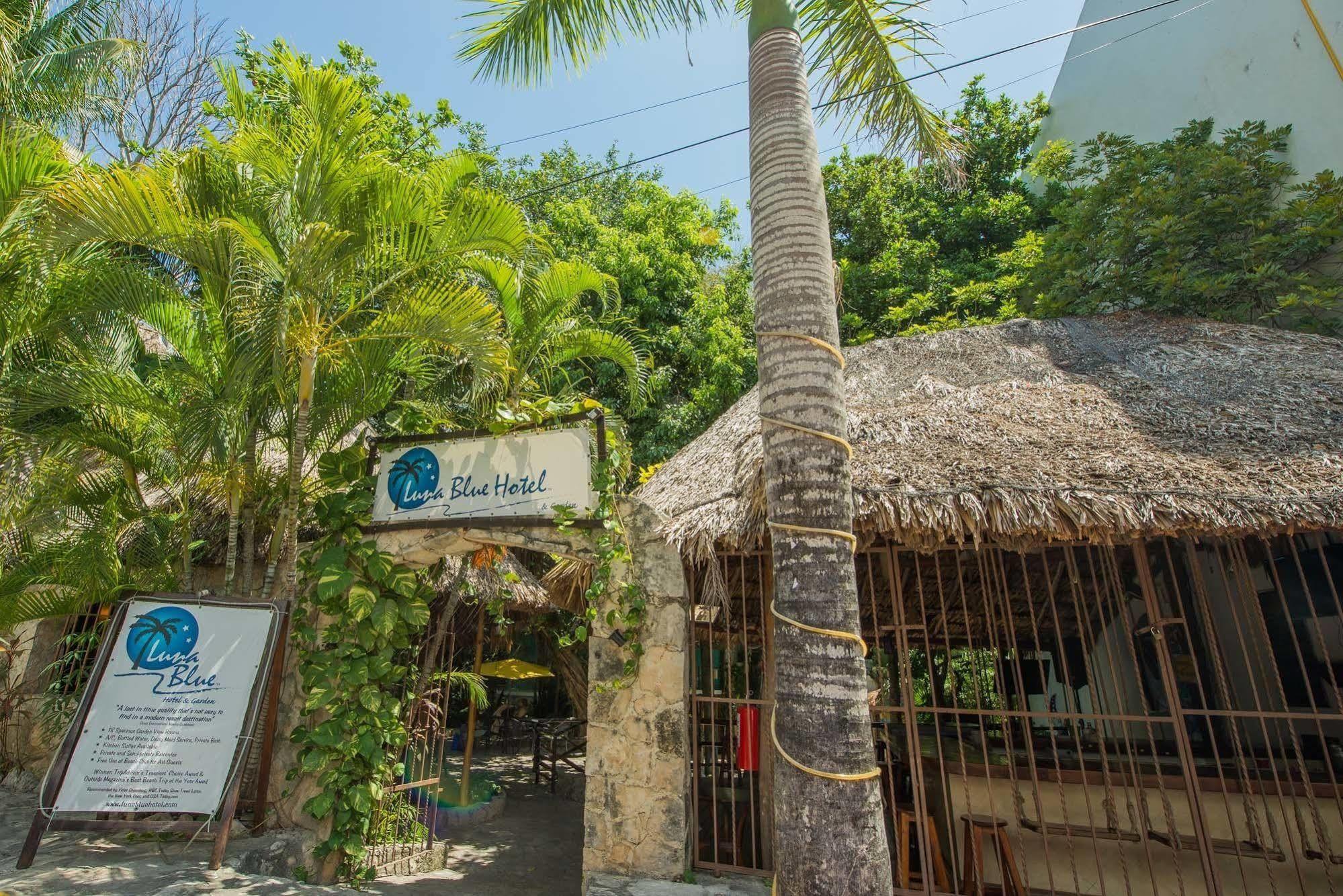 Luna Blue Hotel Playa Del Carmen Exteriér fotografie
